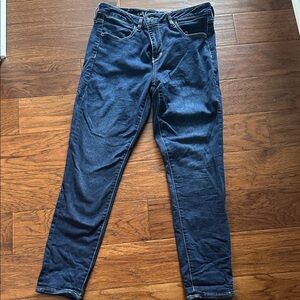 American Eagle Outfitters Navy Skinny Jeans